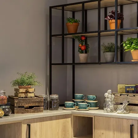 スカンディック コクスタッド 4*