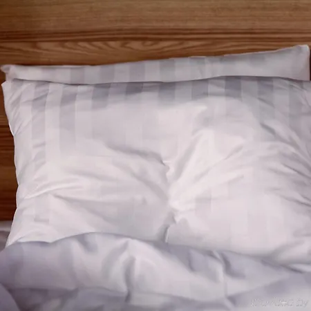 スカンディック コクスタッド